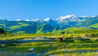 新疆推出丰富多彩的旅游产品线路，推进全域旅游发展